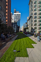The High Line 18