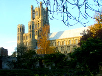 Cathedral in Autumn Afternoon