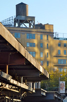 The High Line 81