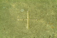 One of five carved crosses on the altar slab, each positioned to reflect the wounds of Christ