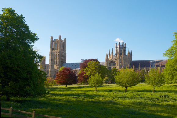 Ely Cathedral from Deans Meadow