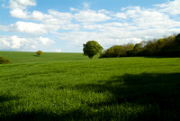 The View to the East of the Church