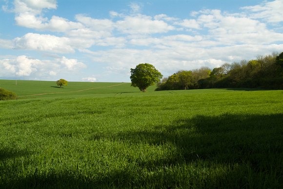 The View to the East of the Church